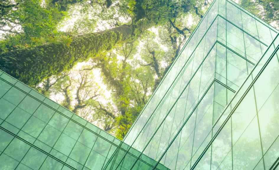 Trees tower over a building of green glass